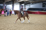 SBM_07703