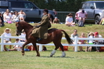 3E7A9716