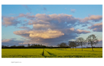 Norfolk Clouds