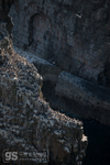 Guillemots at Elegug Stacks