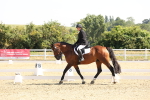 SBM_003375