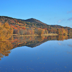 Reflecting on Autumn