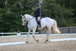 Class 6: NOVICE sec B- Novice 3 2024 portfolio
