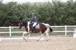 SBM_003024