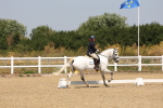 SBM_004181