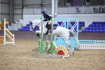 SBM_004231