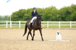 SBM_006350