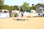 SBM_14972