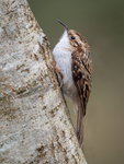 Latest Images portfolio