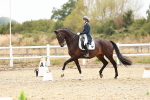 SBM_006876