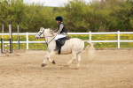 SBM_003887