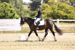 SBM_003554