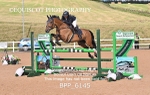 BPP_6145