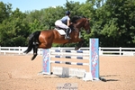 Wednesday 9th Senior BS - Click to Enter portfolio