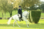 SBM_62403