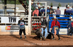 Brody Hasenack_3HR1071_LJD
