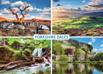 Ref 84 Yorkshire Dales