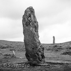 Dartmoor portfolio