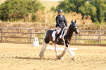 SBM_000361