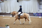 SBM_000231