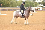 SBM_11285