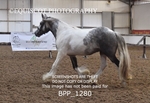 BPP_1280