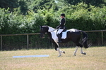 WJ6_4323
