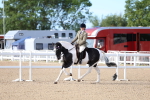 SBM_16736