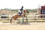 SBM_001910