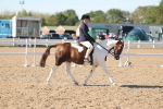 SBM_12337