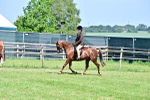 SBM_13967