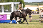 SBM_17822