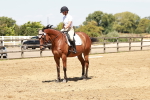 SBM_002984
