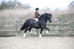 SBM_006330