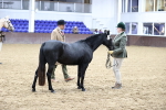 SBM_5442