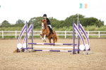 SBM_001522