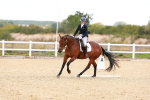 SBM_001015