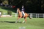 613-CAVS.GIRL-Anna.Webster-TrotUp+SJ portfolio