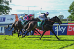 310526-Race 4-Brielle-8871