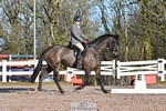 Dressage - CT Class 3 BE92 portfolio