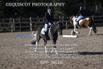 BPP_8618