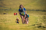 Sale Fell-454