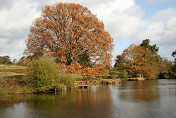 UK. Landscapes portfolio