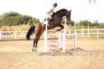 SBM_001590