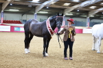SBM_00365