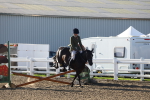 SBM_07894