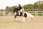 SBM_007222