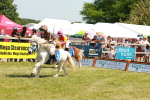 SBM_16890