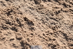 231015A-112232-07435