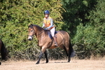 WJ6_8787